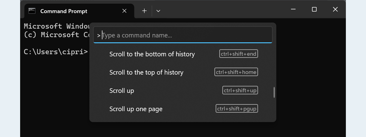 44个键盘快捷键的命令提示符（Windows 10和Windows 11）